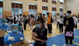 凌丹徒弟爆料最新消息,揭秘凌丹最新动态与惊人内幕